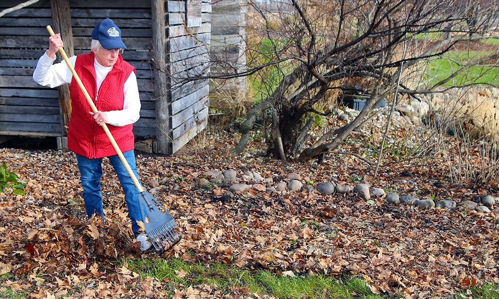 home-text-little-black-rake